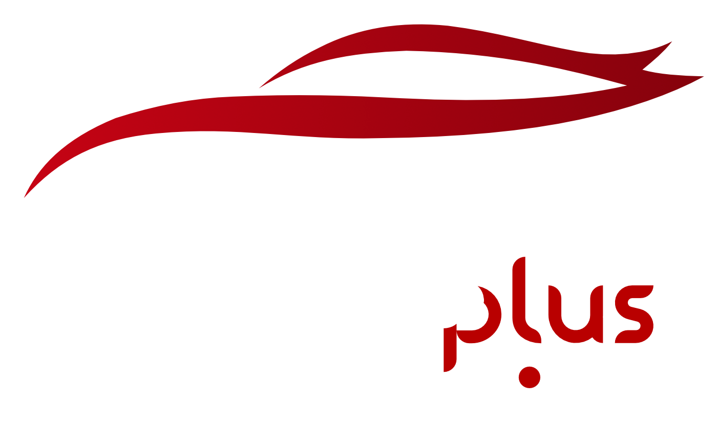 MekinaPlus